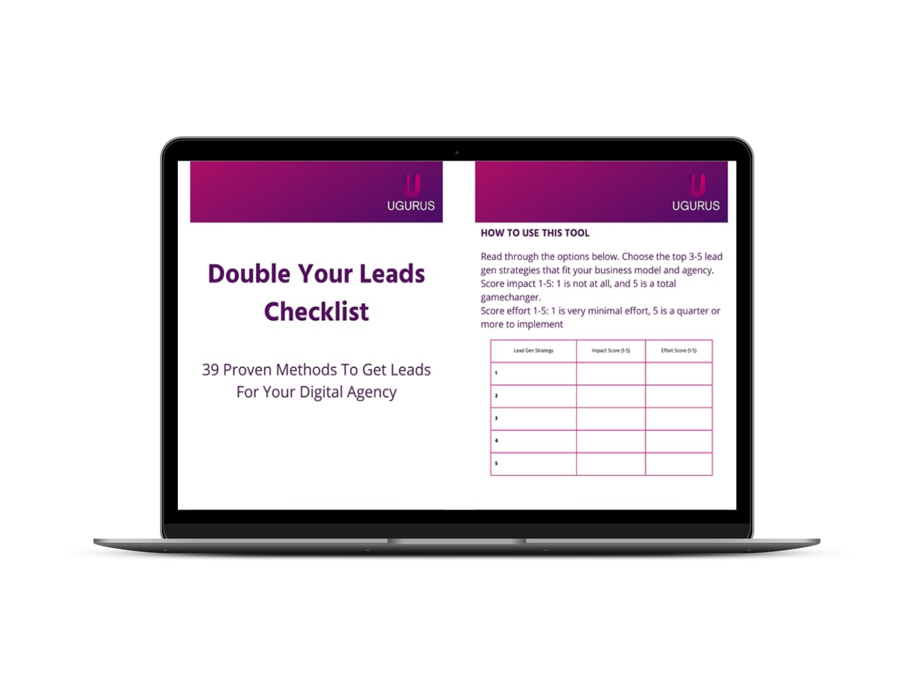 laptop showing double you leads checklist